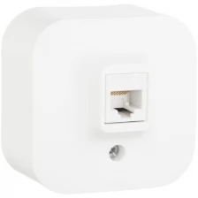 Розетка RJ45 компьютерная Quteo открытой установки cat.5е UTP белый 782224 Legrand